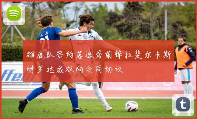 雄鹿队签约落选秀前锋拉斐尔卡斯特罗达成双向合同协议